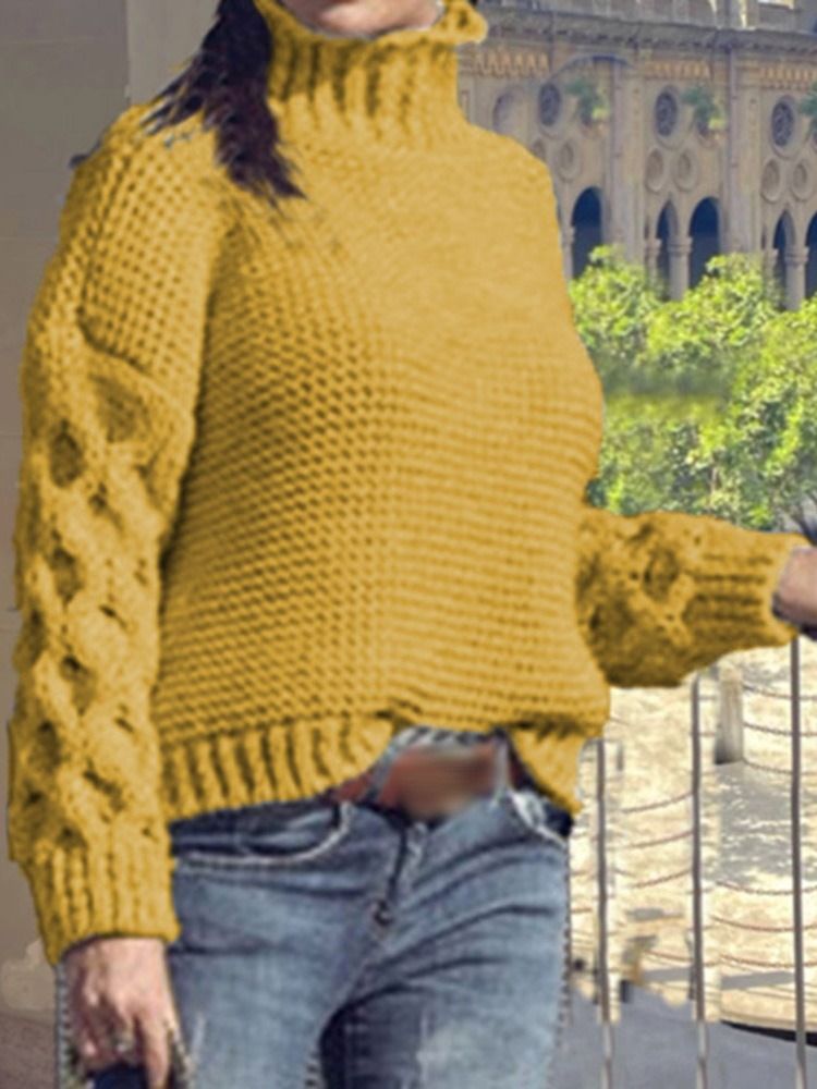 Vanlig Turtleneck Vintertröja