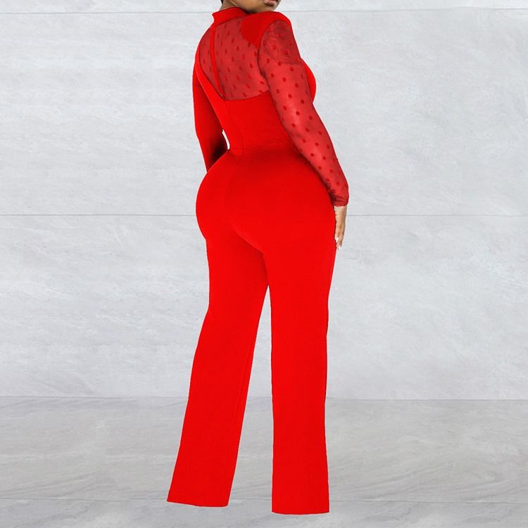 Office Lady Vanlig Genomskinlig Midja Slimmad Jumpsuit