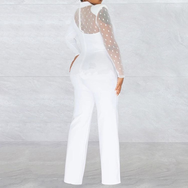 Office Lady Vanlig Genomskinlig Midja Slimmad Jumpsuit