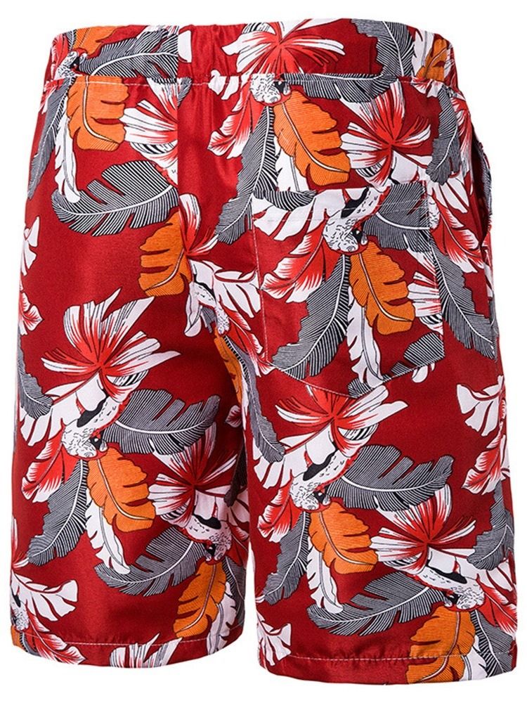 Print Plant Casual Lace-Up Casual Shorts För Män