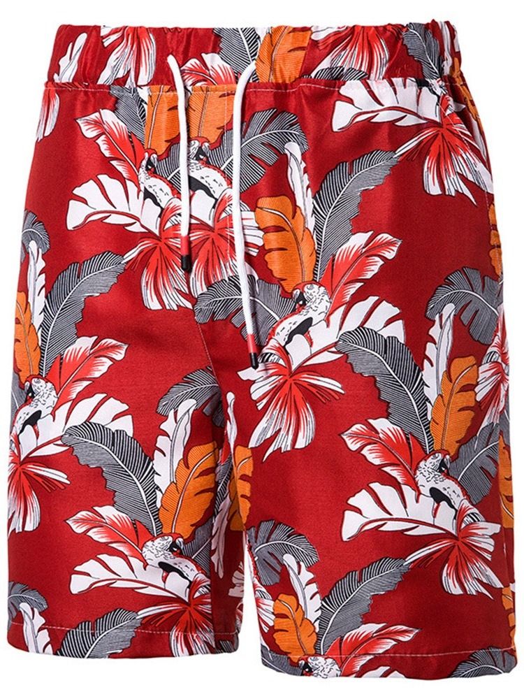 Print Plant Casual Lace-Up Casual Shorts För Män