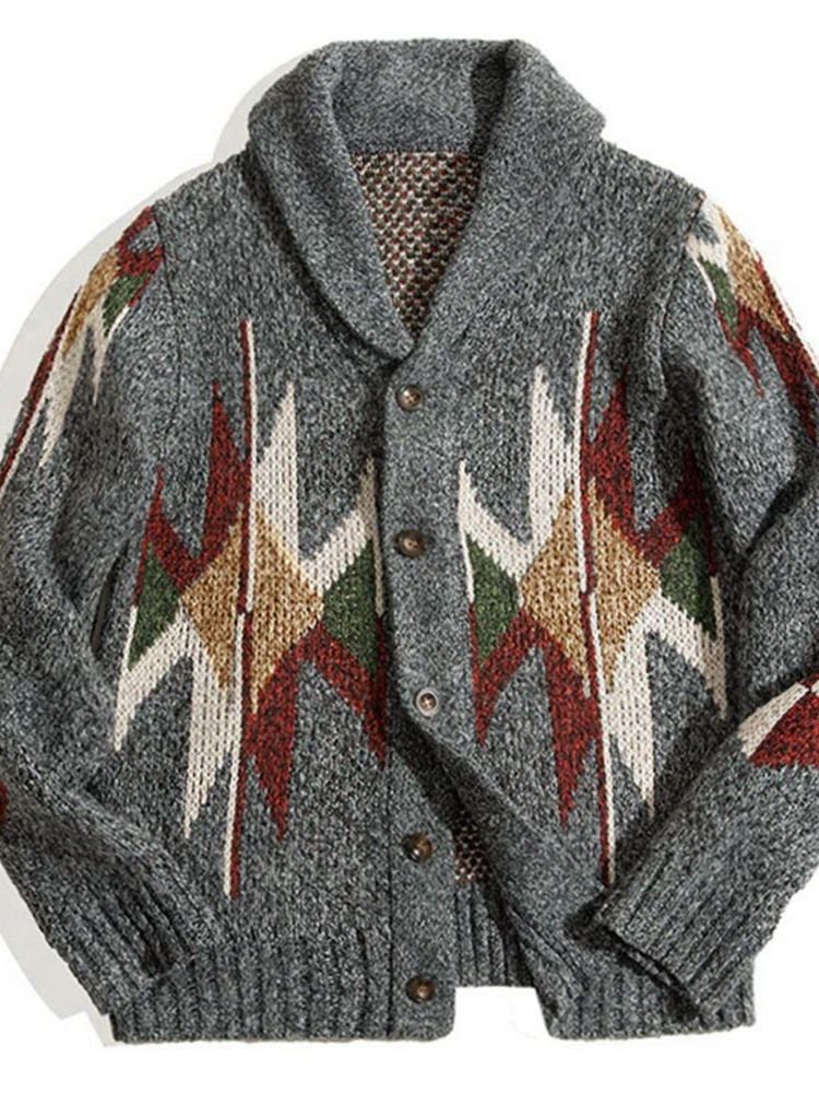 Color Block Lapel Standard Vinter Casual Tröja
