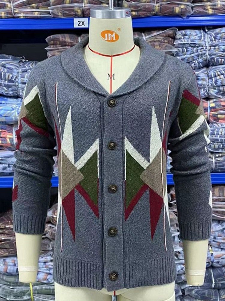 Color Block Lapel Standard Vinter Casual Tröja