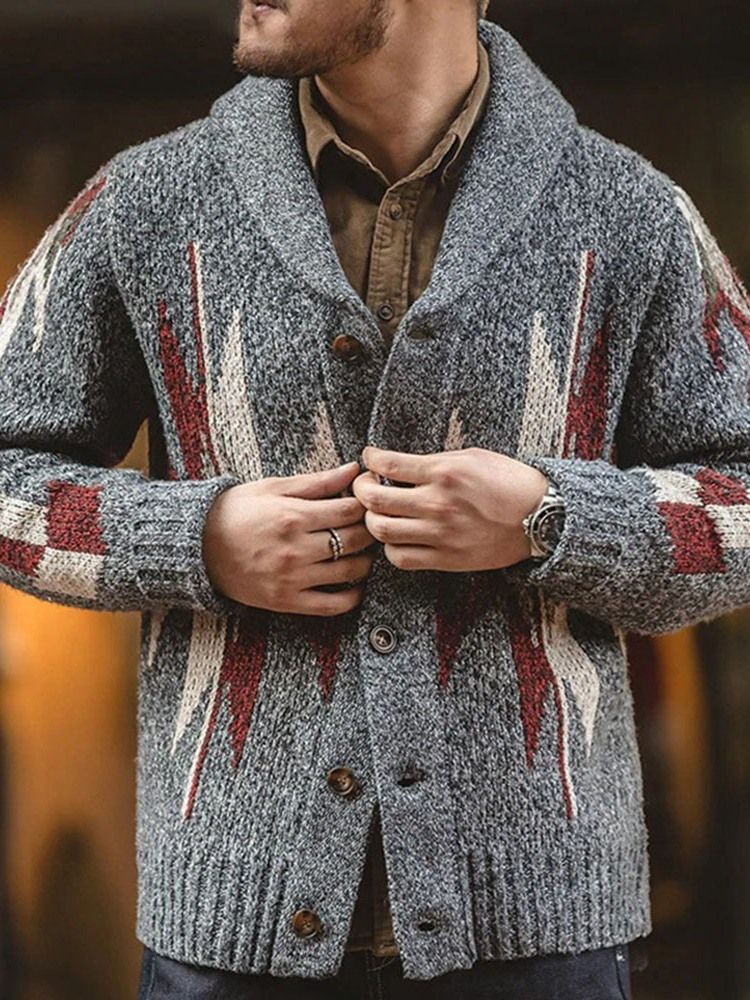Color Block Lapel Standard Vinter Casual Tröja