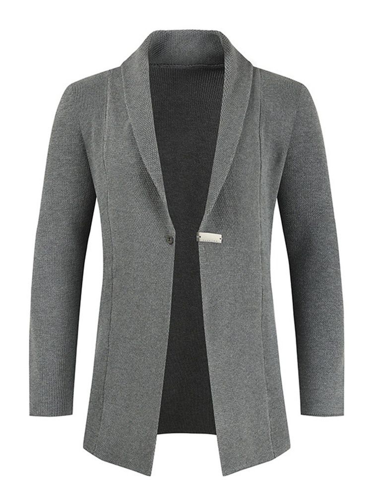 Standard Lapel Plain Casual Hösttröja