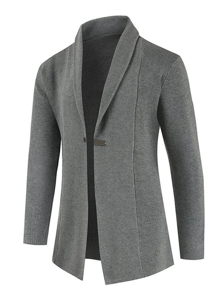 Standard Lapel Plain Casual Hösttröja