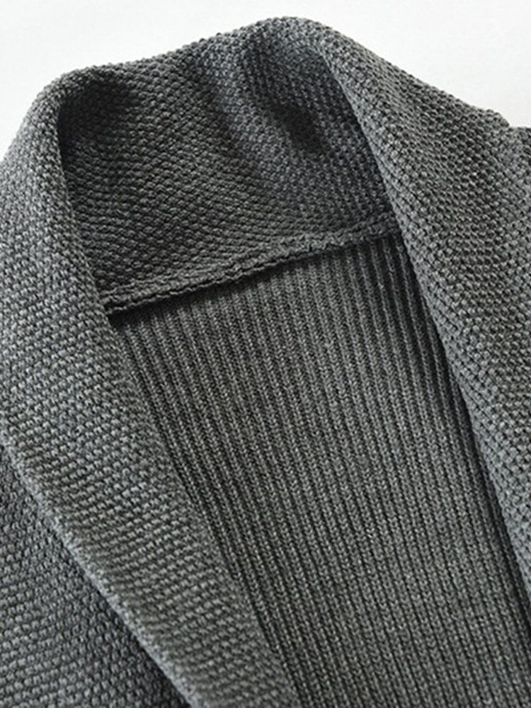 Standard Lapel Plain Casual Hösttröja