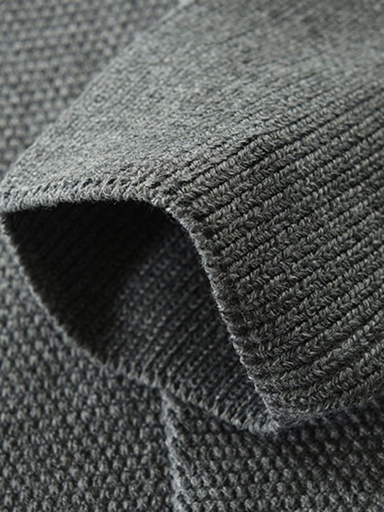 Standard Lapel Plain Casual Hösttröja