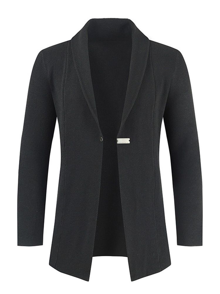 Standard Lapel Plain Casual Hösttröja