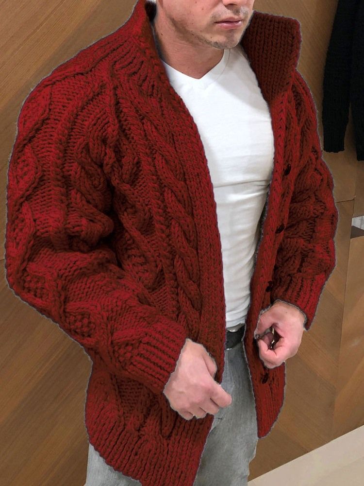 Turtleneck Standard Enkel Enkelknäppt Slim Sweater