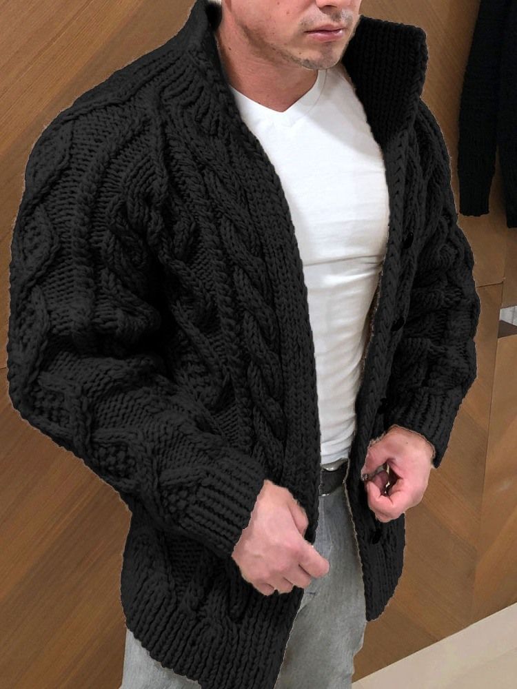 Turtleneck Standard Enkel Enkelknäppt Slim Sweater