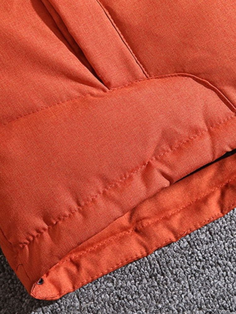 Patchwork Stativ Krage Standard Dragkedja Casual Dunjacka