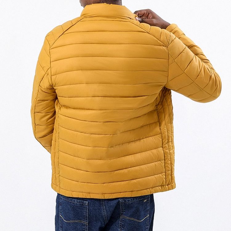 Pocket Stand Krage Vanlig Dragkedja Casual Dunjacka
