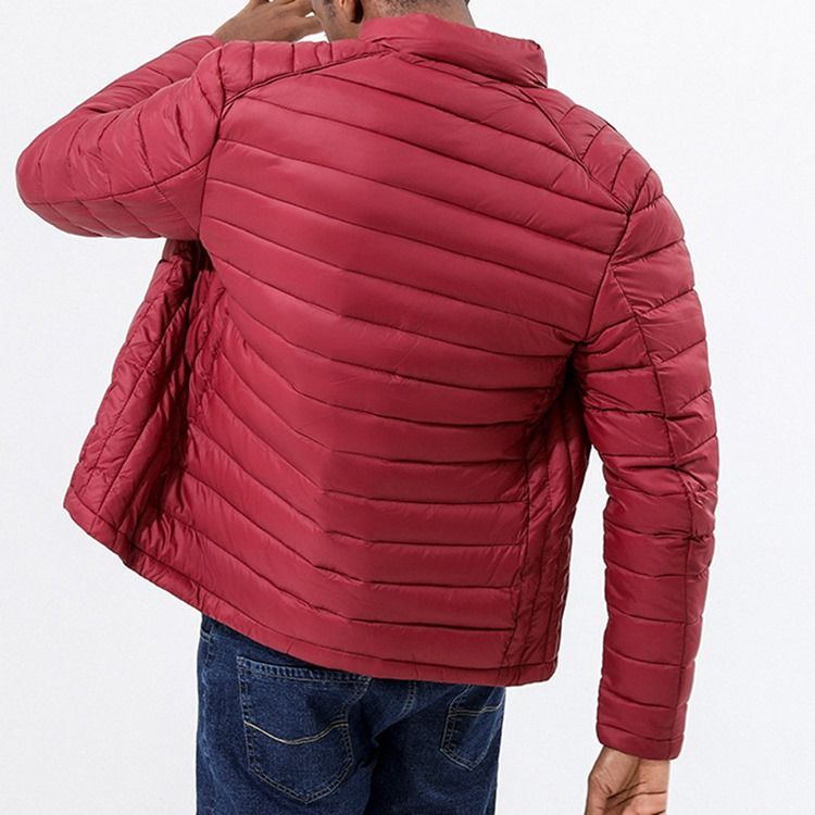Pocket Stand Krage Vanlig Dragkedja Casual Dunjacka