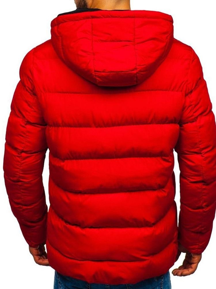 Vanlig Hooded Standard Zipper Casual Dunjacka