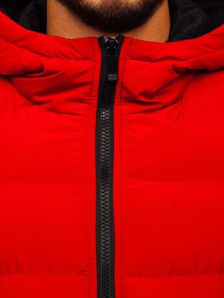 Vanlig Hooded Standard Zipper Casual Dunjacka
