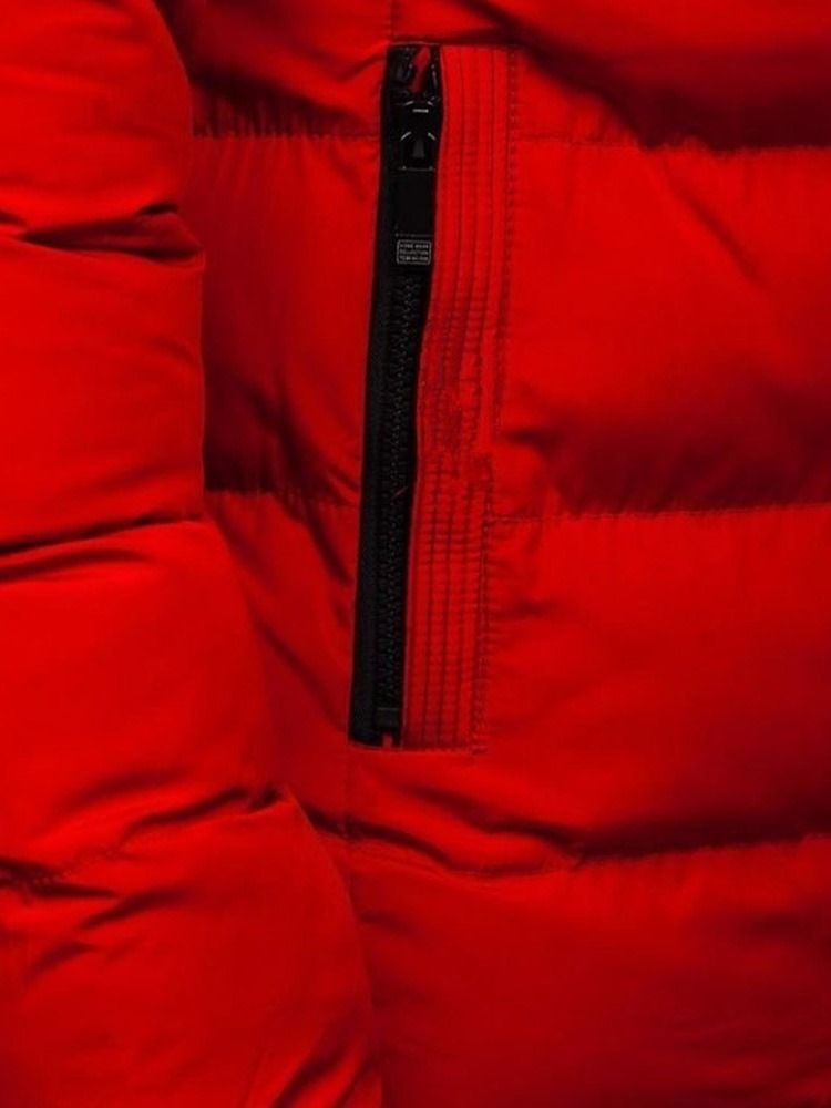 Vanlig Hooded Standard Zipper Casual Dunjacka