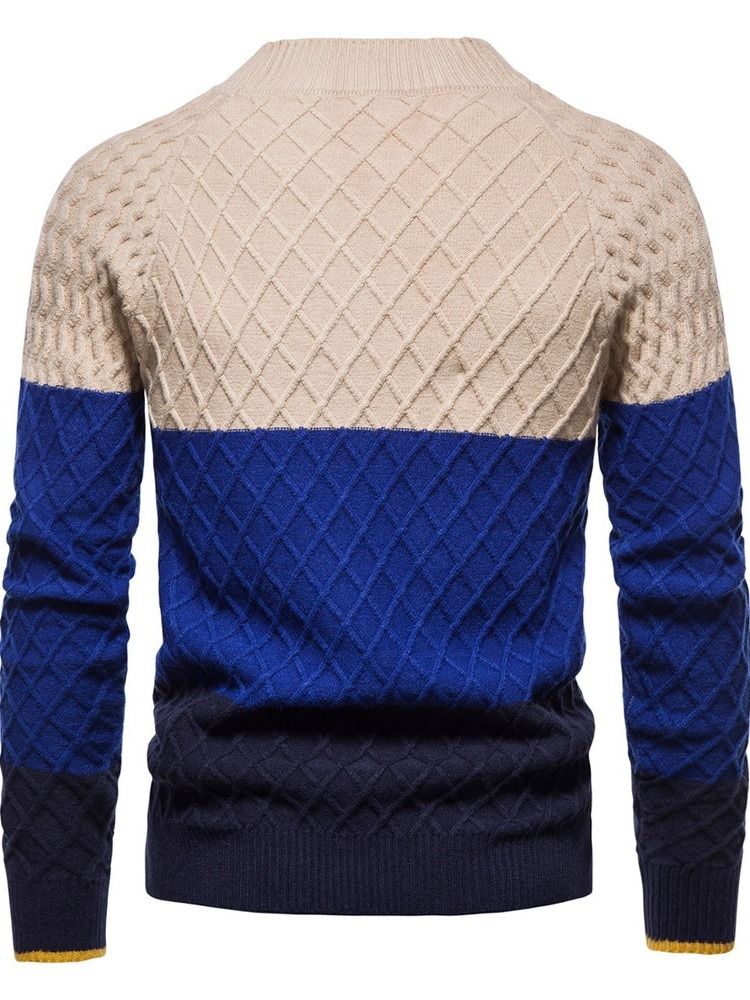 Color Block Casual Standard Patchwork Vintertröja