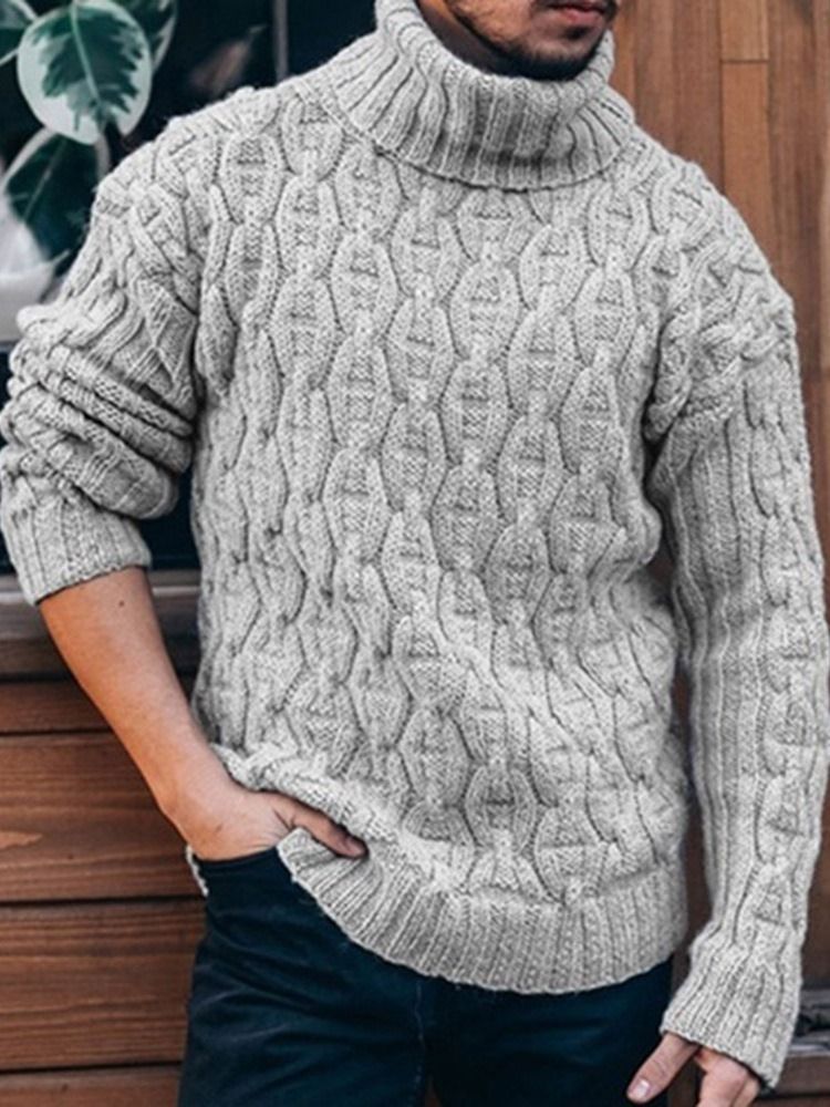 Standard Turtleneck Plain Slim Spring Sweater