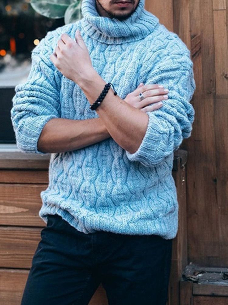 Standard Turtleneck Plain Slim Spring Sweater