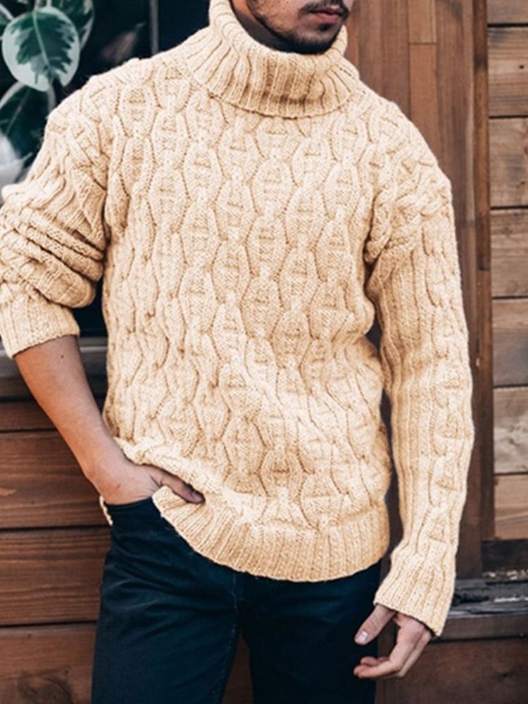 Standard Turtleneck Plain Slim Spring Sweater