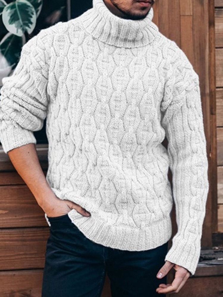 Standard Turtleneck Plain Slim Spring Sweater