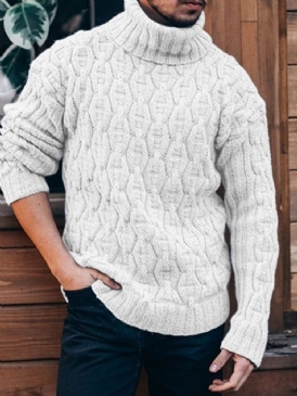 Standard Turtleneck Plain Slim Spring Sweater