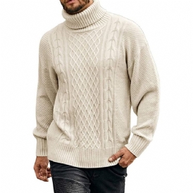 Turtleneck Plain Standard Casual Vintertröja