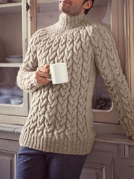 Turtleneck Vanlig Standard Vinter Tröja För Män