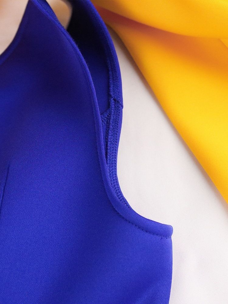 Ärmlös Split Snedkrage Color Block Ladylike Klänning
