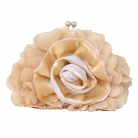 Bankett Mjuka Clutches & Kvällsväskor