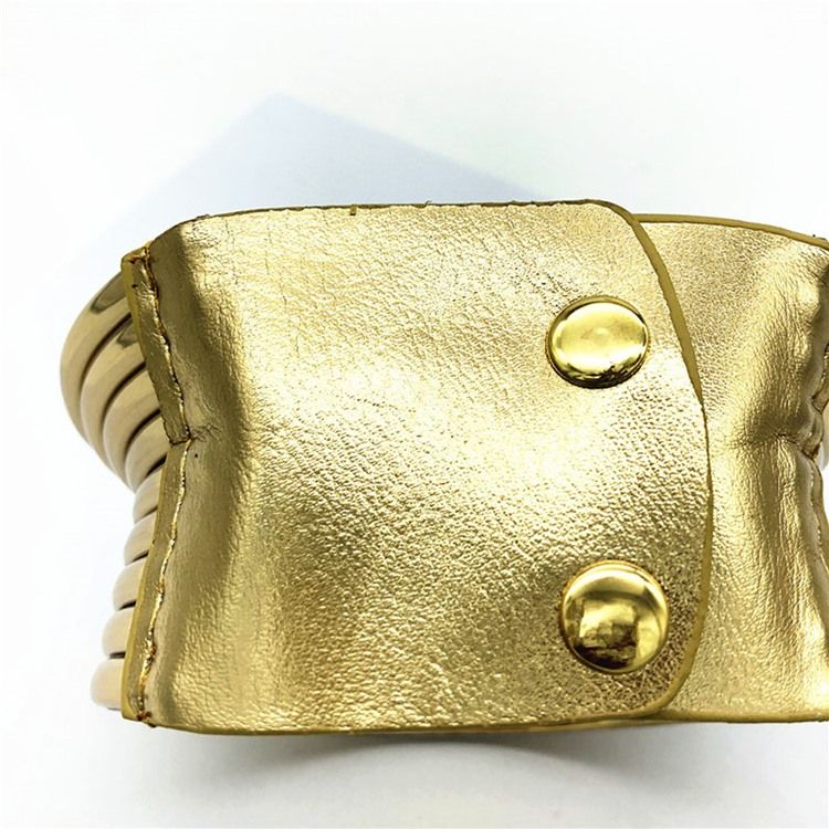 Choker Gyllene Halsband