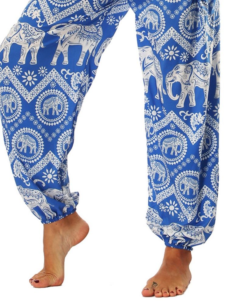 Animal Print Wide Leg Magdans Lyktbyxor