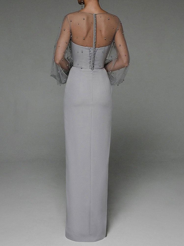Golvlång Genomskinlig Rund Hals Bodycon Vanlig Maxiklänning