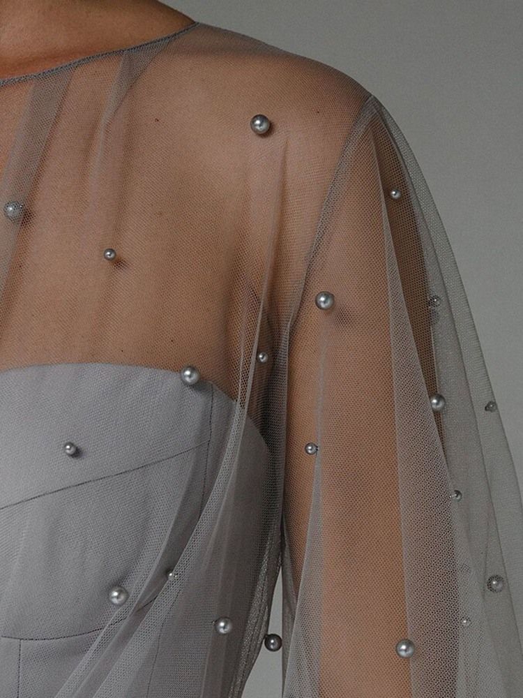 Golvlång Genomskinlig Rund Hals Bodycon Vanlig Maxiklänning