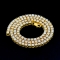 Gyllene