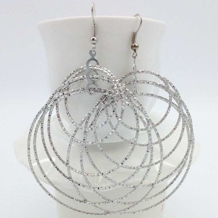 Silver Hoop Damörhängen