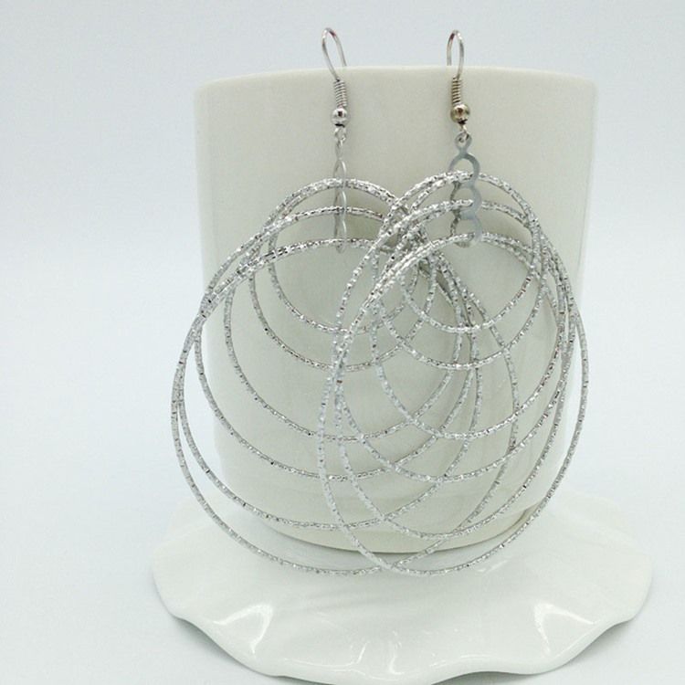 Silver Hoop Damörhängen