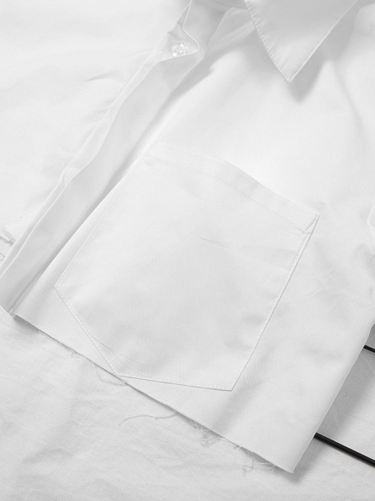 Damknapp Enfärgad Lapel Långärmad Kort Damblus
