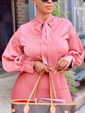 Vanlig Bowknot Ståkrage Standard Långärmad Blus