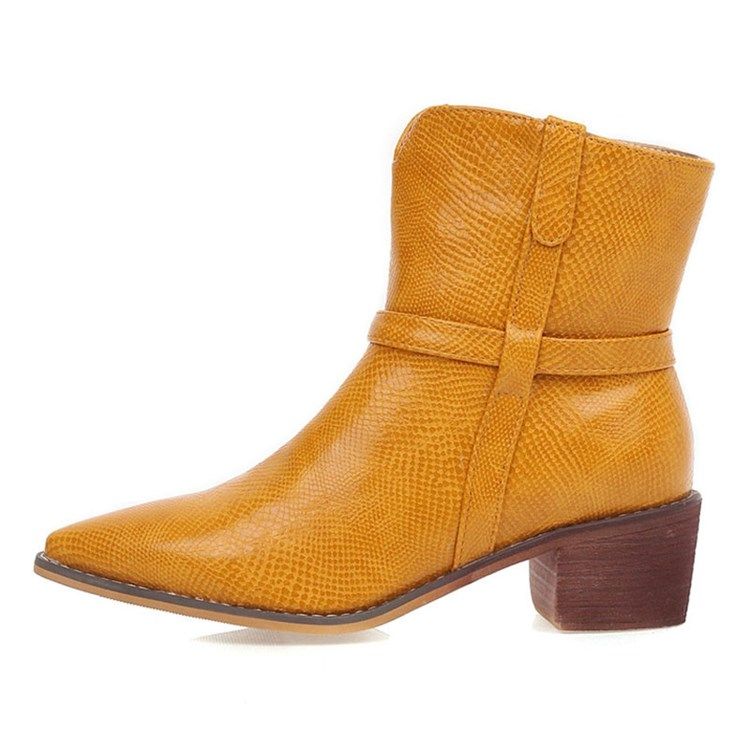 Vanliga Slip-On Spetsiga Stövlar Damer