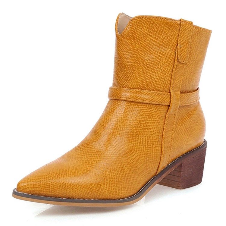 Vanliga Slip-On Spetsiga Stövlar Damer